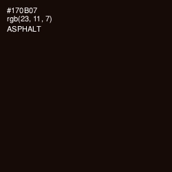 #170B07 - Asphalt Color Image