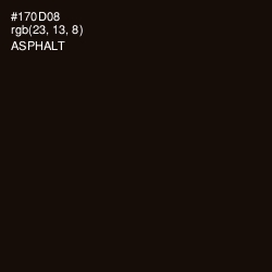 #170D08 - Asphalt Color Image