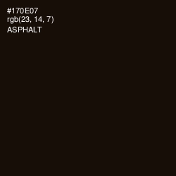#170E07 - Asphalt Color Image
