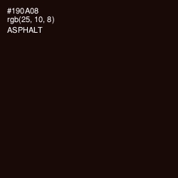 #190A08 - Asphalt Color Image