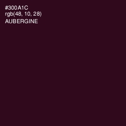 #300A1C - Aubergine Color Image