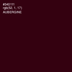 #340111 - Aubergine Color Image