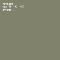 #80826B - Avocado Color Image