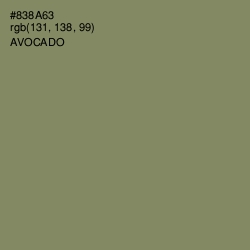 #838A63 - Avocado Color Image