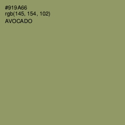 #919A66 - Avocado Color Image
