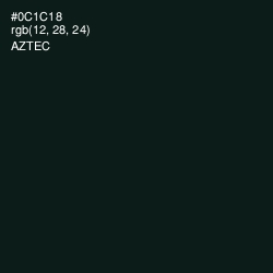 #0C1C18 - Aztec Color Image