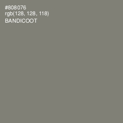 #808076 - Bandicoot Color Image