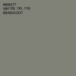 #808277 - Bandicoot Color Image