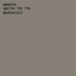 #868076 - Bandicoot Color Image