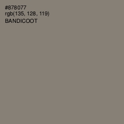 #878077 - Bandicoot Color Image