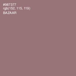 #987377 - Bazaar Color Image
