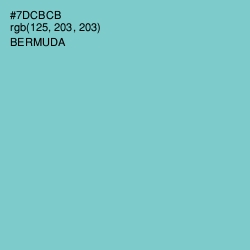 #7DCBCB - Bermuda Color Image