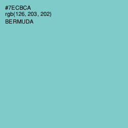 #7ECBCA - Bermuda Color Image