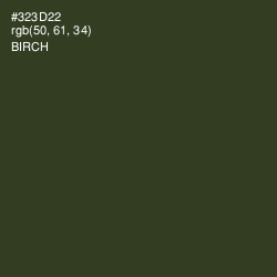 #323D22 - Birch Color Image
