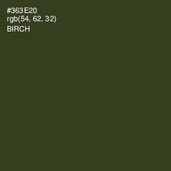 #363E20 - Birch Color Image