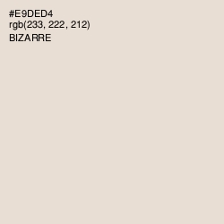 #E9DED4 - Bizarre Color Image