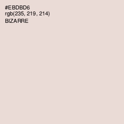 #EBDBD6 - Bizarre Color Image