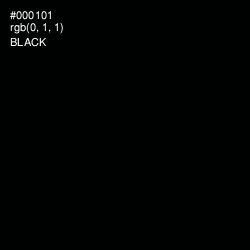 #000101 - Black Color Image