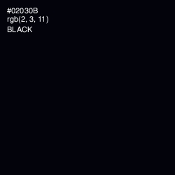 #02030B - Black Color Image