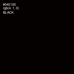 #040100 - Black Color Image