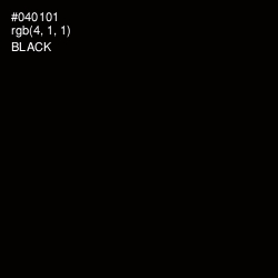 #040101 - Black Color Image