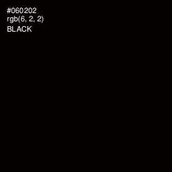 #060202 - Black Color Image