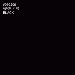 #060206 - Black Color Image