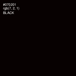 #070201 - Black Color Image