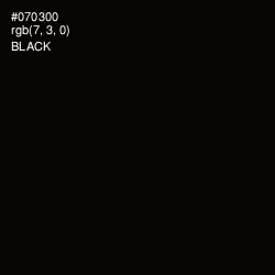 #070300 - Black Color Image