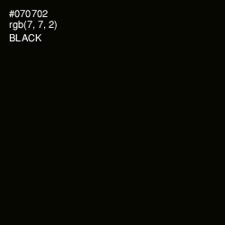#070702 - Black Color Image