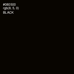 #080500 - Black Color Image