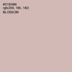#D1BAB6 - Blossom Color Image