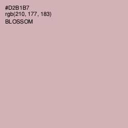 #D2B1B7 - Blossom Color Image