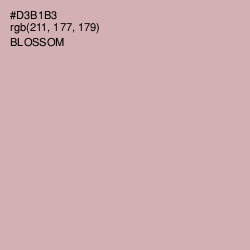 #D3B1B3 - Blossom Color Image