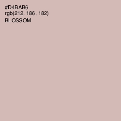 #D4BAB6 - Blossom Color Image