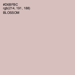 #D6BFBC - Blossom Color Image