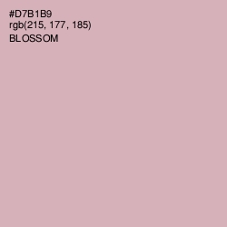 #D7B1B9 - Blossom Color Image