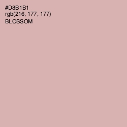#D8B1B1 - Blossom Color Image
