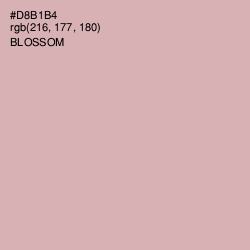 #D8B1B4 - Blossom Color Image