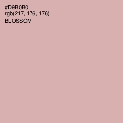 #D9B0B0 - Blossom Color Image