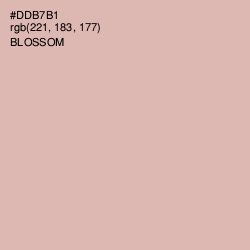 #DDB7B1 - Blossom Color Image