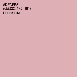 #DEAFB5 - Blossom Color Image