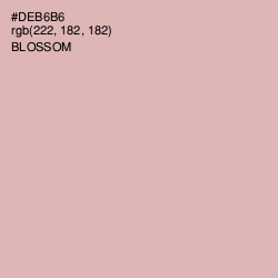 #DEB6B6 - Blossom Color Image