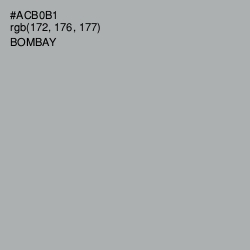 #ACB0B1 - Bombay Color Image