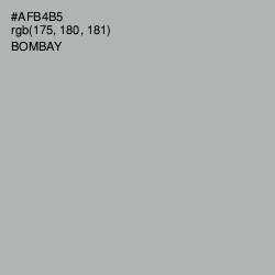 #AFB4B5 - Bombay Color Image