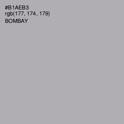#B1AEB3 - Bombay Color Image