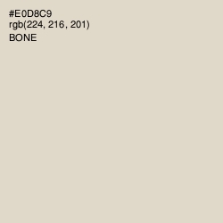 #E0D8C9 - Bone Color Image