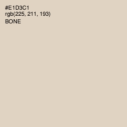 #E1D3C1 - Bone Color Image