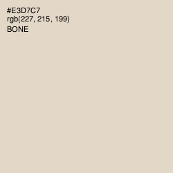 #E3D7C7 - Bone Color Image