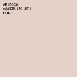 #E4D2C9 - Bone Color Image